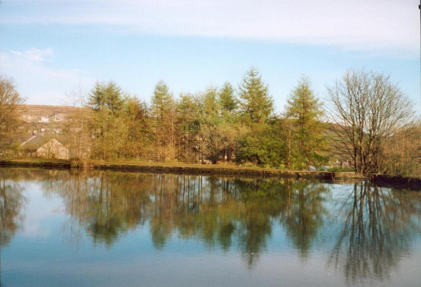 Devil Holes' Lodge - Spring 2000 
17-Buildings and the Urban Environment-05-Street Scenes-006-Carr Street and Tanners area
Keywords: 2000