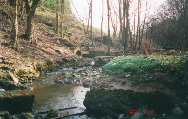 A forgotten industry - Woodhey works 
17-Buildings and the Urban Environment-05-Street Scenes-013-Holcombe Brook Area
Keywords: 2000