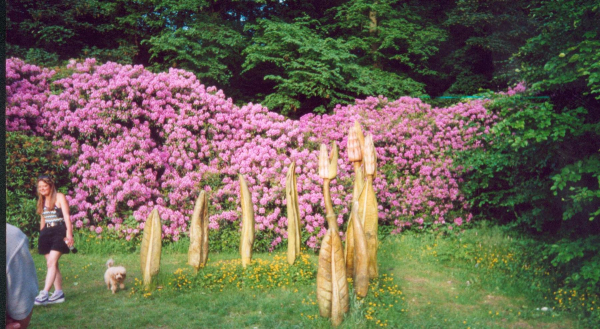 A sculpture in Nuttall Park 
14-Leisure-01-Parks and Gardens-001-Nuttall Park General
Keywords: 2000