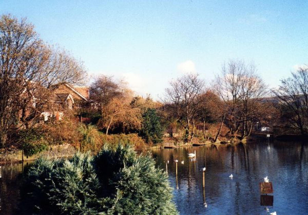 Springwood Lodge
17-Buildings and the Urban Environment-05-Street Scenes-006-Carr Street and Tanners area
Keywords: 2002