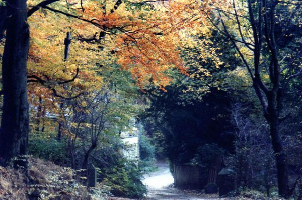 View of Nuttall Cottages - Nuttall Park
17-Buildings and the Urban Environment-05-Street Scenes-018-Nuttall Hall Road Cottages
Keywords: 2002