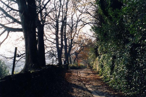 Holcombe Old Road?
to be catalogued
Keywords: 2002