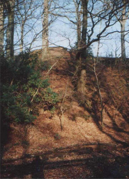From Nuttall Hall Road - Autumn 2003 
17-Buildings and the Urban Environment-05-Street Scenes-018-Nuttall Hall Road Cottages
Keywords: 2003