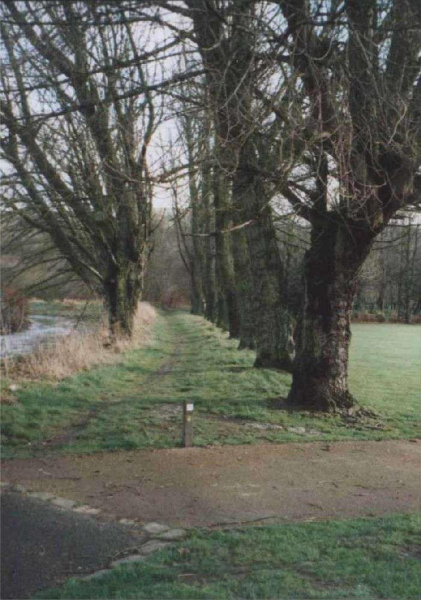 Avenue of poplars in Nuttall Park
14-Leisure-01-Parks and Gardens-001-Nuttall Park General
Keywords: 2003