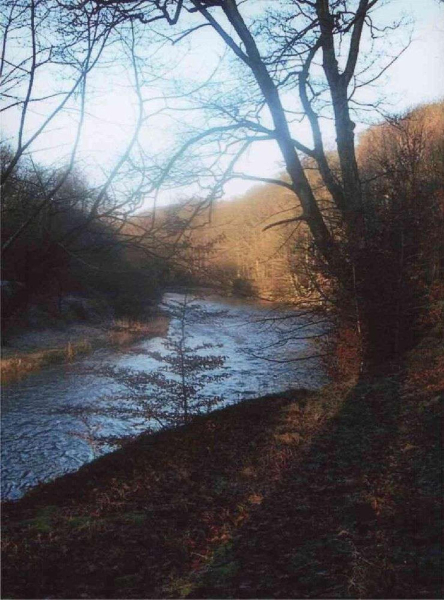 River Irwell through Nuttall Wood 
17-Buildings and the Urban Environment-05-Street Scenes-019-Nuttall area
Keywords: 2003