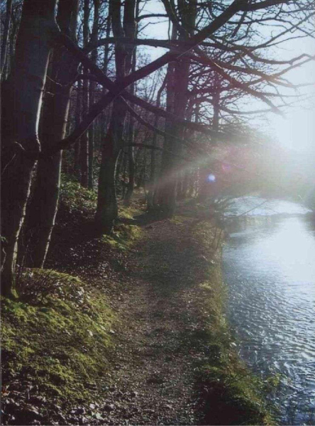 Late afternoon sun in Nuttall Wood 
17-Buildings and the Urban Environment-05-Street Scenes-019-Nuttall area
Keywords: 2003