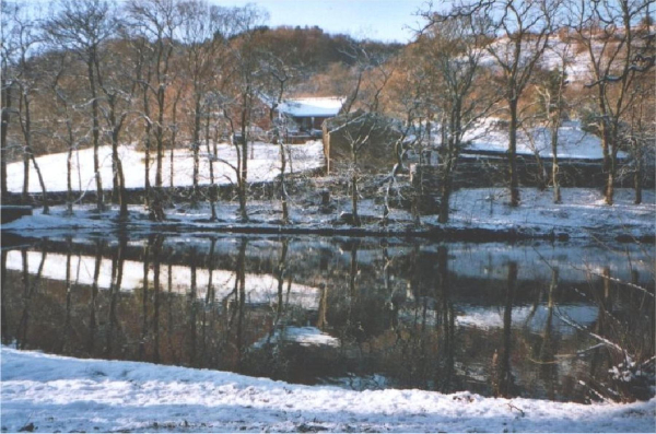 Carr Bank - Christmas Day
17-Buildings and the Urban Environment-05-Street Scenes-006-Carr Street and Tanners area
Keywords: 2004