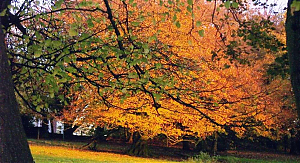 Filename=RHSDC21-COMP-HPC2005TH-084.JPG
Filesize=305KiB
Dimensions=1800x983
Date added=Feb 07, 2026 RHSDC21-COMP-HPC2005TH-084.JPG