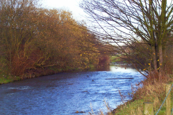 River Irwell from Waterside,Stubbins
17-Buildings and the Urban Environment-05-Street Scenes-027-Stubbins Lane and Stubbins area
Keywords: 2006