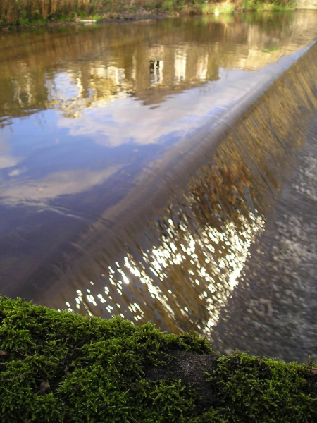 Autumn reflections - the weir on the River Irwell
19-Animals and Plants-01-General-000-General
Keywords: 2007