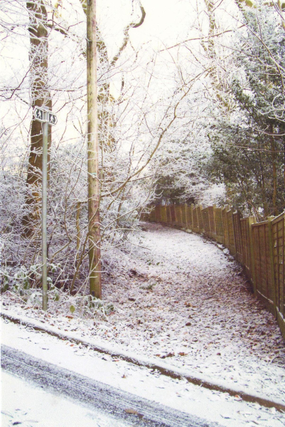Old Lane leading to Carr Bank 
17-Buildings and the Urban Environment-05-Street Scenes-006-Carr Street and Tanners area
Keywords: 2008
