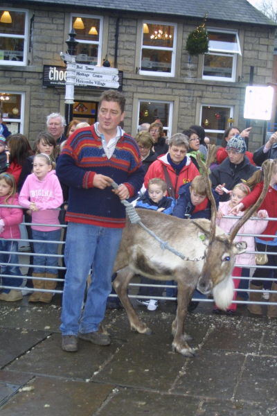 Reindeer in Market Place, Christmas Markets 
14-Leisure-04-Events-006-Markets
Keywords: 2008