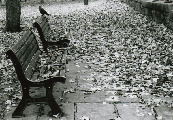 Views from the Wharf 
to be catalogued
Keywords: 2008