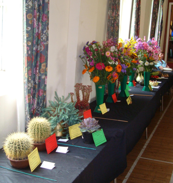 Edenfield & District Horticultural Society  95th Summer Show  8th August 2009
14-Leisure-04-Events-000-General
Keywords: 2009