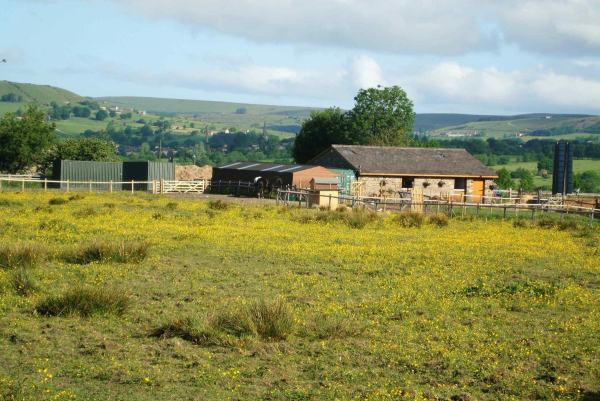 Pinfold View stables, from Blackburn Road, Edenfield
17-Buildings and the Urban Environment-05-Street Scenes-011-Edenfield
Keywords: 2010