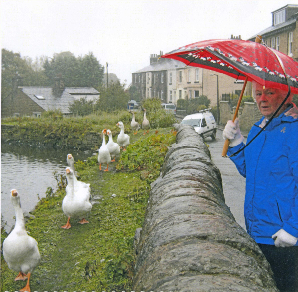 Geese parade at Springwood Street 
17-Buildings and the Urban Environment-05-Street Scenes-006-Carr Street and Tanners area
Keywords: 2010
