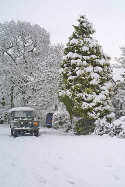 Snowy Weather on Carr Bank Avenue 
17-Buildings and the Urban Environment-05-Street Scenes-006-Carr Street and Tanners area
Keywords: 2010