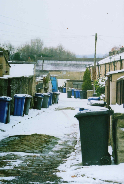 Wheelie Bins 
17-Buildings and the Urban Environment-02-Houses-000-General

Keywords: 2010
