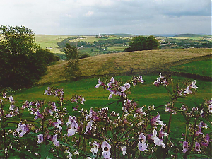 Filename=RHSDC21-COMP-HPC2012TH-011.JPG
Filesize=295KiB
Dimensions=1800x1353
Date added=Feb 07, 2026 RHSDC21-COMP-HPC2012TH-011.JPG