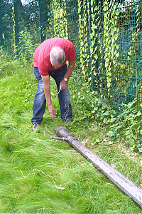 Filename=RHSDC21-COMP-HPC2012TH-021.JPG
Filesize=425KiB
Dimensions=1200x1800
Date added=Feb 07, 2026 RHSDC21-COMP-HPC2012TH-021.JPG