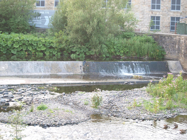 WEIR ON IRWELL AT PEEL BROW BRIDGE  
17-Buildings and the Urban Environment-05-Street Scenes-021-Peel Brow area
Keywords: 2013