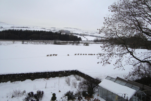 Looking east from EdenfieId to Helmshore Tor in the winter
17-Buildings and the Urban Environment-05-Street Scenes-011-Edenfield
Keywords: 2013