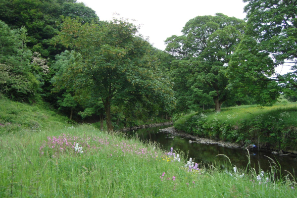 River Irwell near Strongsry 
18-Agriculture and the Natural Environment-03-Topography and Landscapes-000-General

Keywords: 2013