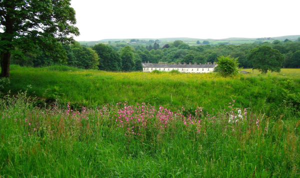 River Irwell near Strongsry 
18-Agriculture and the Natural Environment-03-Topography and Landscapes-000-General

Keywords: 2013