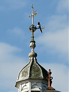 Filename=RHSDC21-COMP-HPC2013BU-027.JPG
Filesize=201KiB
Dimensions=1350x1800
Date added=Feb 07, 2026 RHSDC21-COMP-HPC2013BU-027.JPG