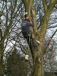 Filename=RHSDC21-COMP-HPC2013EV-007.JPG
Filesize=644KiB
Dimensions=1350x1800
Date added=Feb 07, 2026 RHSDC21-COMP-HPC2013EV-007.JPG