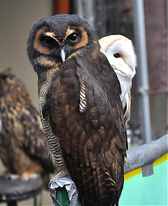 Filename=RHSDC21-COMP-HPC2013EV-019.JPG
Filesize=276KiB
Dimensions=1468x1800
Date added=Feb 07, 2026 RHSDC21-COMP-HPC2013EV-019.JPG