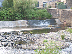 Filename=RHSDC21-COMP-HPC2013TC-006.JPG
Filesize=441KiB
Dimensions=1800x1350
Date added=Feb 07, 2026 RHSDC21-COMP-HPC2013TC-006.JPG