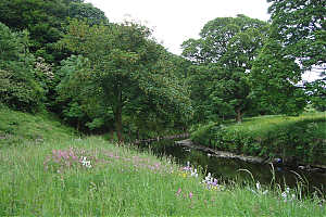 Filename=RHSDC21-COMP-HPC2013TC-019.JPG
Filesize=446KiB
Dimensions=1800x1200
Date added=Feb 07, 2026 RHSDC21-COMP-HPC2013TC-019.JPG