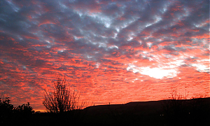 Filename=RHSDC21-COMP-HPC2013TC-024.JPG
Filesize=176KiB
Dimensions=1800x1083
Date added=Feb 07, 2026 RHSDC21-COMP-HPC2013TC-024.JPG