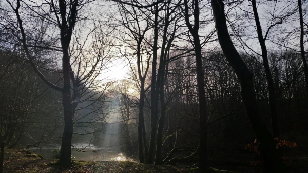 Nuttall Park on New Year's eve
14-Leisure-01-Parks and Gardens-001-Nuttall Park General
Keywords: 2014