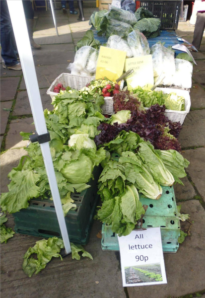 Farmers Market 12 Oct 2014 
14-Leisure-04-Events-006-Markets
Keywords: 2014
