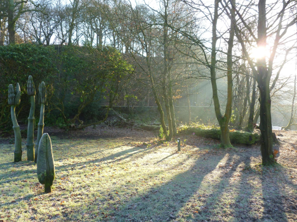 Sculpture in Nuttall Park
14-Leisure-01-Parks and Gardens-001-Nuttall Park General
Keywords: 2014