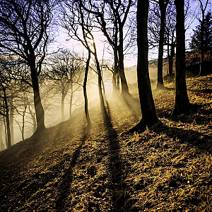 Filename=RHSDC21-COMP-HPC2014TC-016.JPG
Filesize=924KiB
Dimensions=1800x1800
Date added=Feb 07, 2026 RHSDC21-COMP-HPC2014TC-016.JPG