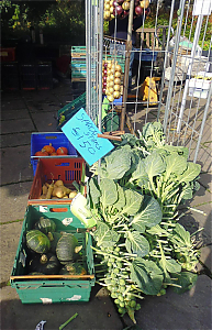 Filename=RHSDC21-COMP-HPC2014TH-011.JPG
Filesize=303KiB
Dimensions=1159x1800
Date added=Feb 07, 2026 RHSDC21-COMP-HPC2014TH-011.JPG