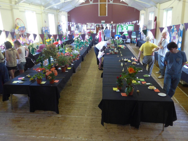 Edenfield and District Horticultural  Society?s Summer Show  - 8 August
14-Leisure-04-Events-000-General
Keywords: 2015
