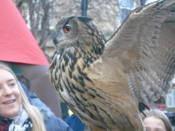 Ramsbottom Christmas Festivities 13th and 20th December 
to be catalogued
Keywords: 2015