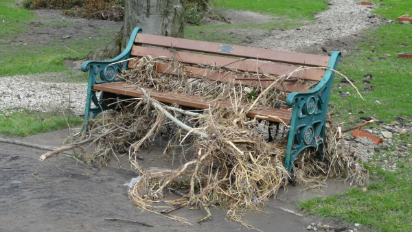 Flood damage in Nuttall Park
14-Leisure-01-Parks and Gardens-001-Nuttall Park General
Keywords: 2015