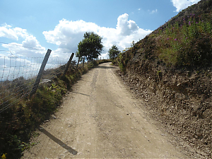 Filename=RHSDC21-COMP-HPC2015TC-046.JPG
Filesize=340KiB
Dimensions=1800x1350
Date added=Feb 07, 2026 RHSDC21-COMP-HPC2015TC-046.JPG