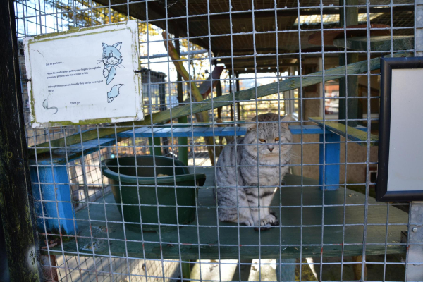 Bleakholt 2016 
17-Buildings and the Urban Environment-05-Street Scenes-031 Bolton Street
Keywords: 2016