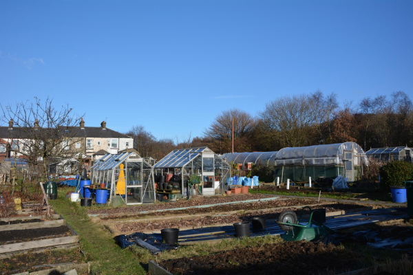 Peel Brow Allotments 
17-Buildings and the Urban Environment-05-Street Scenes-021-Peel Brow area
Keywords: 2016