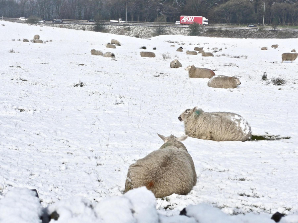 Snow in late April, East of the Edenfield Bypass
17-Buildings and the Urban Environment-05-Street Scenes-011-Edenfield
Keywords: 2016