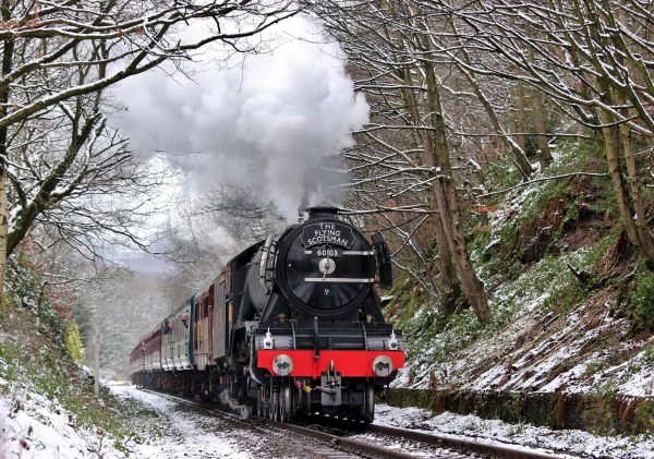 Flying Scotsman taken at crossing (Wood Road) after leaving Summerseat station 17.01.2016, during test runs on East Lancashire Railway
16-Transport-03-Trains and Railways-000-General
Keywords: 2016