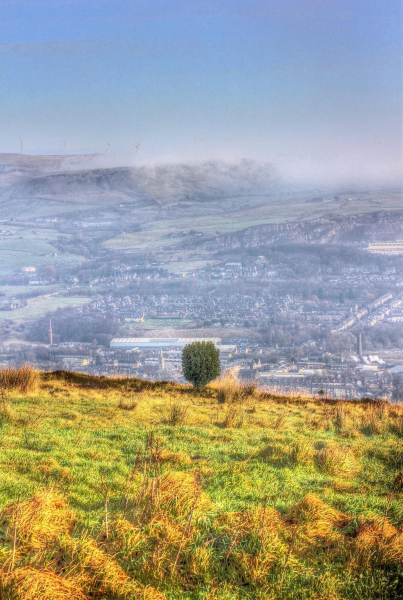 Ramsbottom from Holcombe Hill - Lone bush 
18-Agriculture and the Natural Environment-03-Topography and Landscapes-001-Holcombe Hill
Keywords: 2016