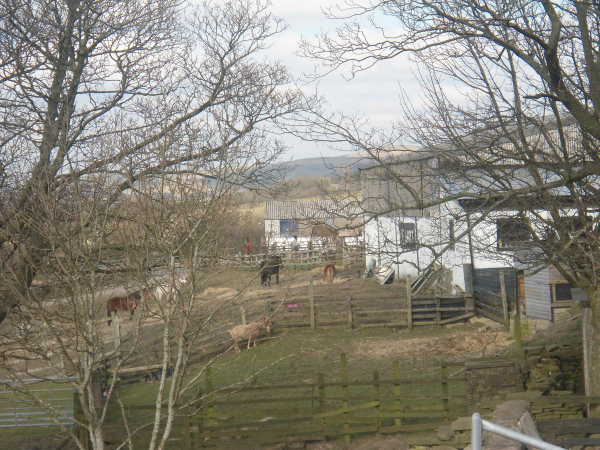 BleakHolt Farm
19-Animals and Plants-01-General-001-Bleakholt Animal Sanctuary
Keywords: 2016