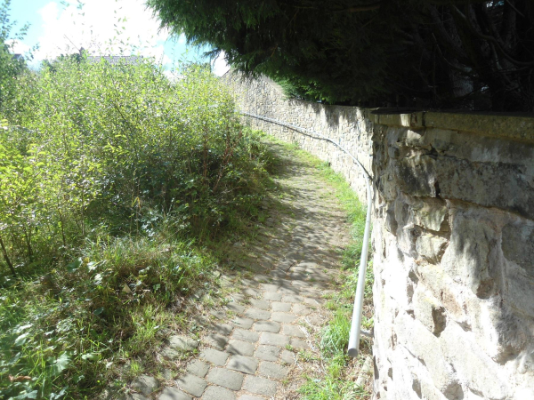 Cobbled Path side of Library 
to be catalogued
Keywords: 2016